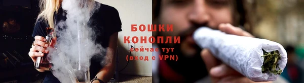 прущие крисы Белокуриха