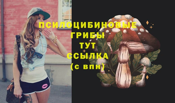 прущие крисы Белокуриха