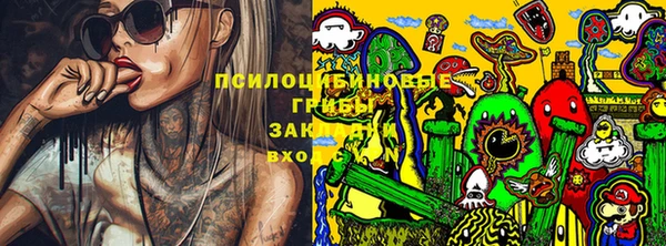 прущие крисы Белокуриха
